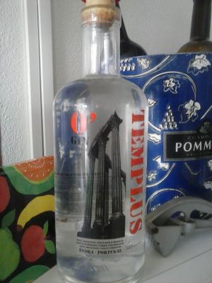 Portuguese organic gin at Hortela in Portimao