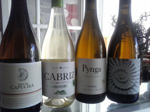 Portuguese organic whites at Hortela in Portimao