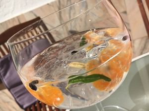 Organic Portuguese gin & tonic  at Hortela in Portimao