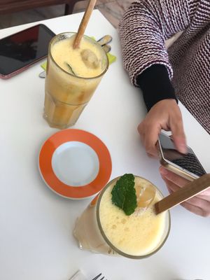 🌱 at Hortela in Portimao