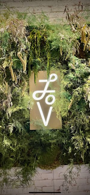 lov at LOV - Montagne in Montreal