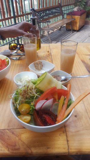 Salad of carrot, 3 types of tomatoes, radish slices, bean sprouts, ribbon zucchini, on a bed of fresh lettuce. at Eco Centro Vrinda - maybe closed in Arica