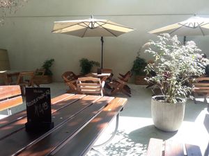 plants and umbrellas at Zielona Micha in Poznan