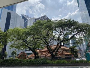A blight on an otherwise beautiful local scene  at Dharma Realm Guan Yin Sagely Monastery in Kuala Lumpur