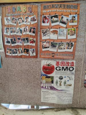  at Dharma Realm Guan Yin Sagely Monastery in Kuala Lumpur