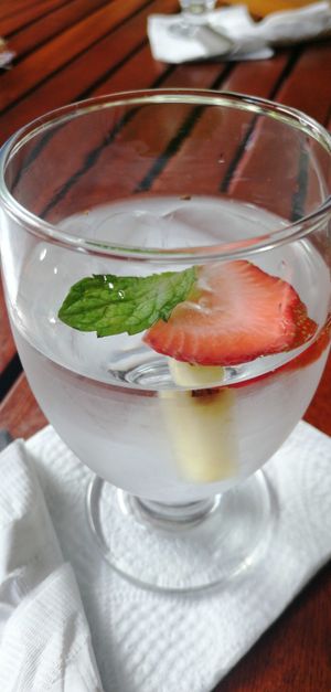 Free water with fruits! Nice gesture! at The Guava Limb in San Ignacio