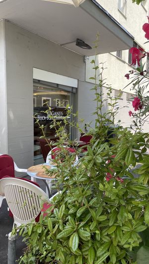 Es findet sich im Sommer immer ein schattiges Plätzchen  at The Sacred in Zurich