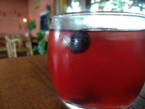 Refreshing Kombucha at Vedic Kitchen  in Kerobokan Kelod