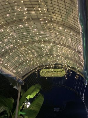 Beautiful atmosphere  at Peppermint Fresh Kitchen in Zakynthos