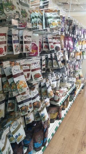 Fruit powders, cacao nibs, etc at Healthy Planet in Etobicoke