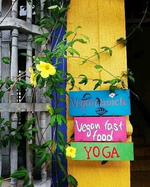 Samudra Yoga Inbound  at Mar y Hojas Cocina Vegana in Cartagena