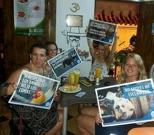 por una dieta libre de sufrimiento animal at Mar y Hojas Cocina Vegana in Cartagena