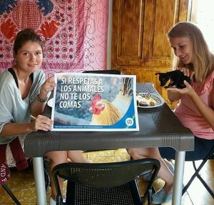 Alimentacion libre de sufrimiento at Mar y Hojas Cocina Vegana in Cartagena