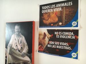 Hostel at Mar y Hojas Cocina Vegana in Cartagena