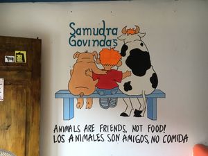 Hostel at Mar y Hojas Cocina Vegana in Cartagena