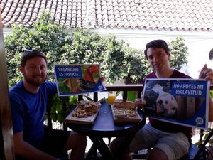 For the animals at Mar y Hojas Cocina Vegana in Cartagena