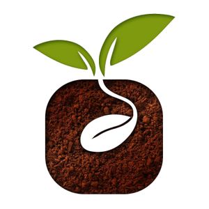 She's green at She's Green Boutique & Atelier in Sibiu