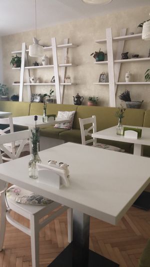 The cafe at She's Green Boutique & Atelier in Sibiu