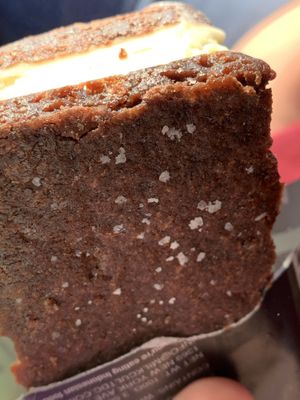 Avocado Ice Cream Sandwich 🤤   at Earthlight Natural Foods in Stroudsburg