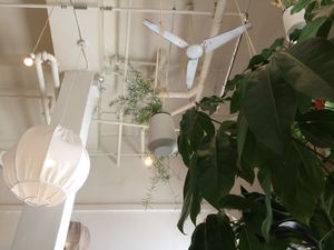 High ceilings1 at Kokomo in Vancouver