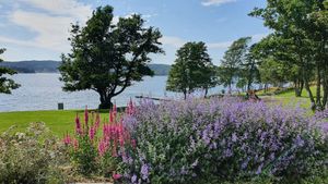 The view from the terrace at Palma Kiosk & Kaffebar in Sarpsborg