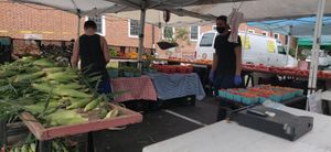 Corn and produce at Falls Church City Farmers Market in Falls Church