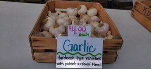 Garlic at Palisades Farmers Market in Washington