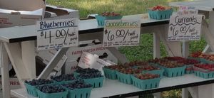 Berries at Palisades Farmers Market in Washington