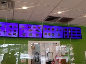 Extensive Menu at enVegan in Morrow