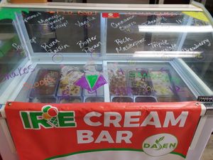12 vegan ice cream flavors at Dajen Eats in Eatonville