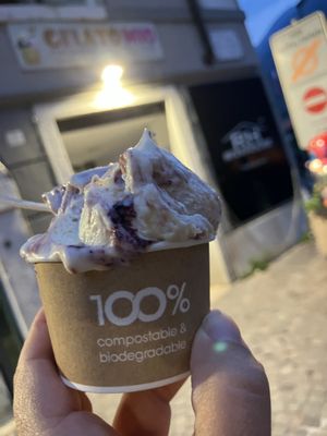   at Gelato Mio in Arco