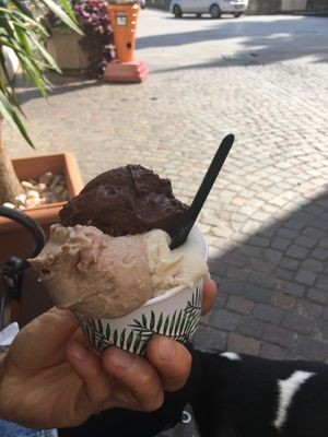 Almond, walnuts and dark chocolate  at Gelato Mio in Arco