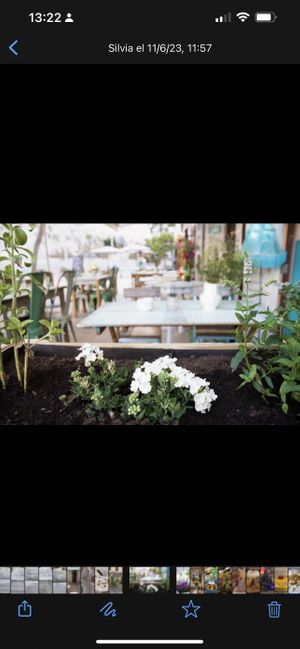   at Simbiosis in Ibiza