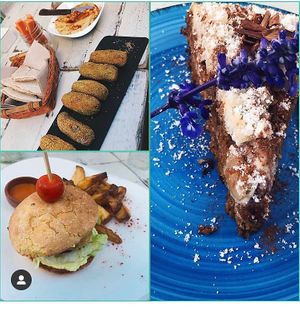 Burger and wedges, carrot cake and croquettes. All amazing!! at Simbiosis in Ibiza