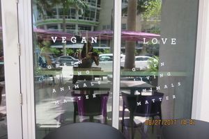 window at GLAM Vegan in Miami