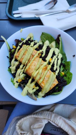 This is the tofu and black rice bowl. Reaaallyy delicious! The sauce is incredible! Totally worth it at Veg on the Edge in Santa Cruz