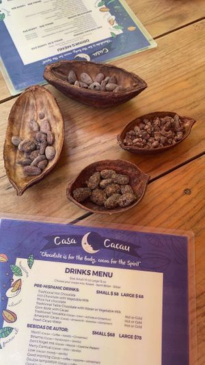   at Casa Cacau in Ajijic