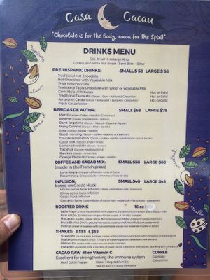   at Casa Cacau in Ajijic