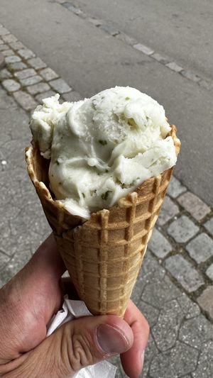   at Almas Terrasse - Bakken Amusement Park in Klampenborg