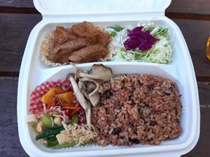 Large bento at Vegefirst in Nagoya