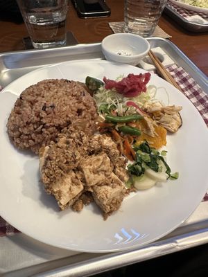 Vegan “special” Large lunch   at Vegefirst in Nagoya