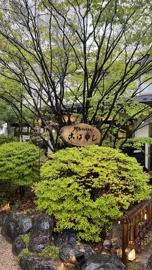   at Kobayashi Soba in Matsumoto
