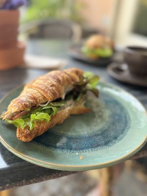   at Crops in Magdeburg