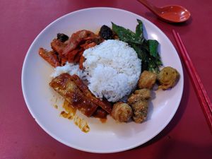 Selection of rice, tofu, and veggies at Xing Guang Vegetarian 星光素食 in Central Singapore