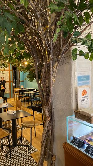  at Coccodi il Dolce e il Salato in Cagliari