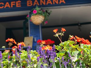 Entrance at  Cafe Banana in Withleigh