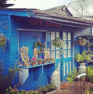 The outside of Cafe Banana at  Cafe Banana in Withleigh