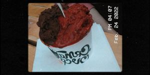 The best vegan ice-cream I've ever had! The picture doesn't look that good cause my main camera is broken so I had to use selfie camera 😂 at Crna Ovca in Belgrade