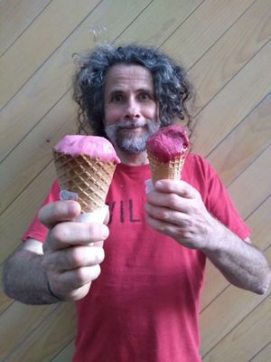 Very likeable, vegan ice cream at Crna Ovca in Belgrade