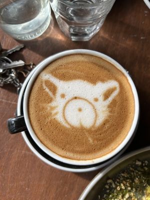   at Addington Coffee Co-op in Christchurch